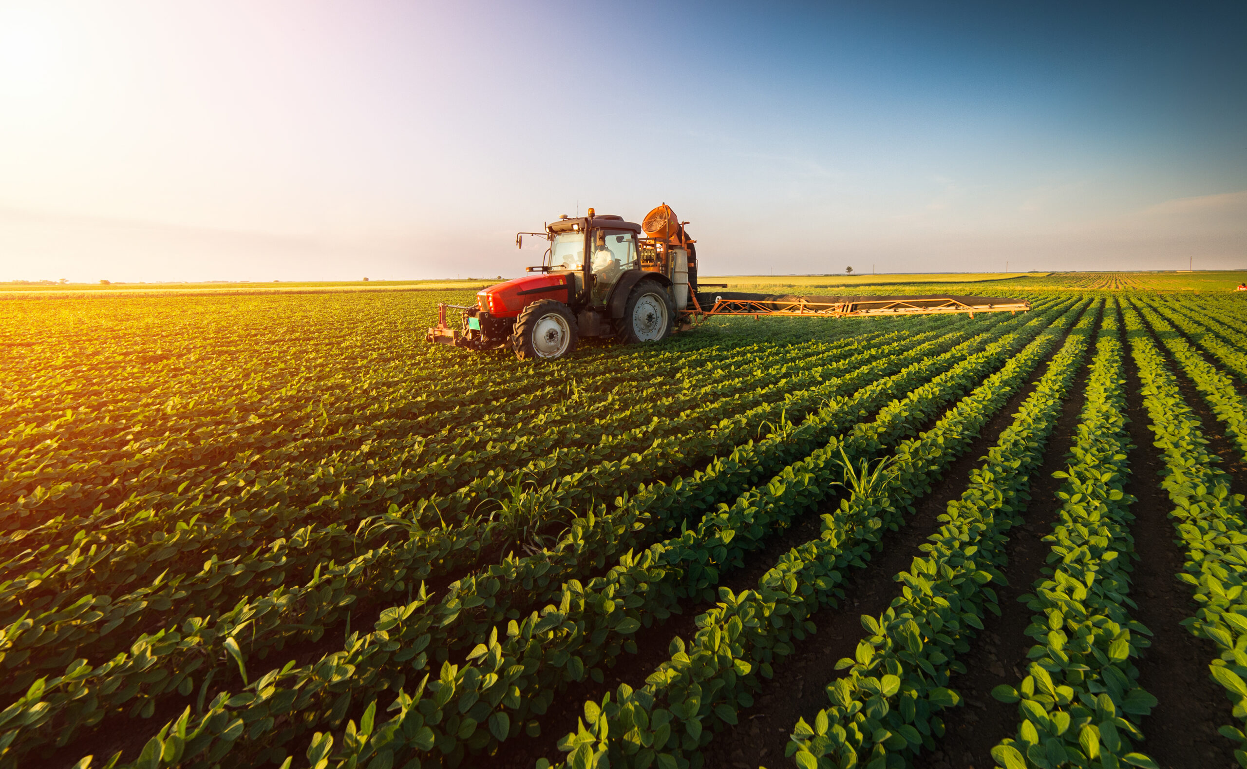 Cursos para Productores Agropecuarios: Enfocados en manejo de fincas, técnicas productivas, comercialización y sostenibilidad.